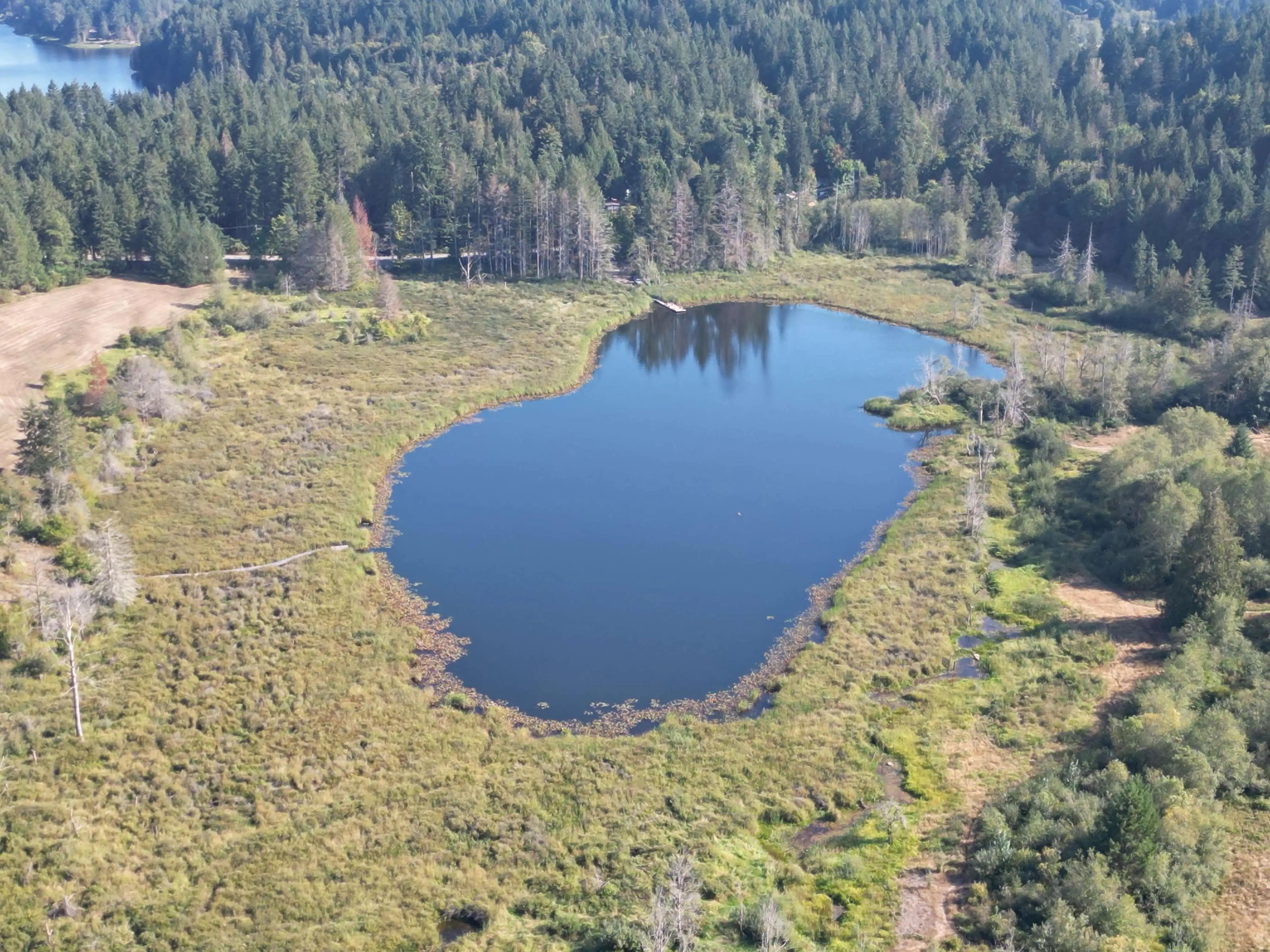 The dock is the only access to the lake (picture top left hand side)