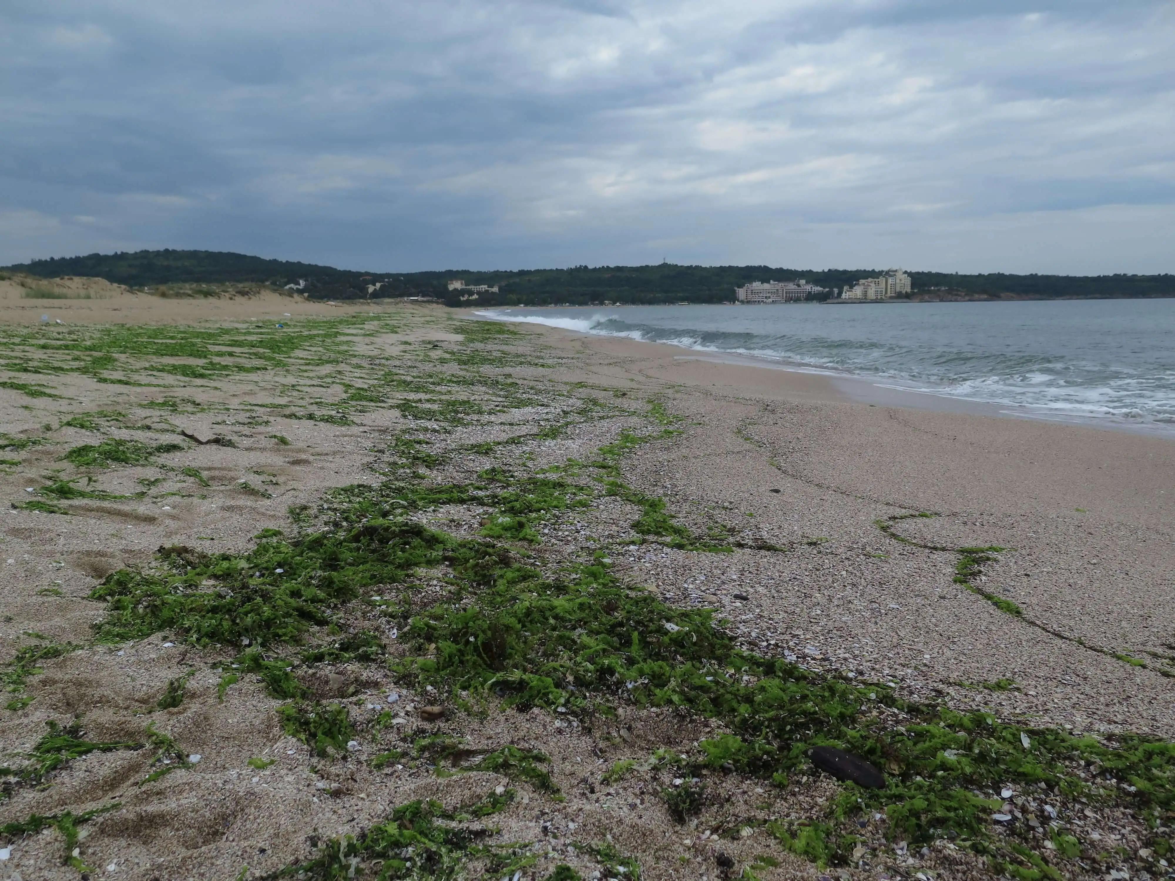 Stay off the sand dunes but everywhere else is fine to enjoy!