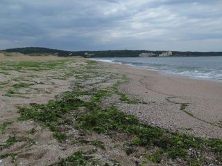 Stay off the sand dunes but everywhere else is fine to enjoy!