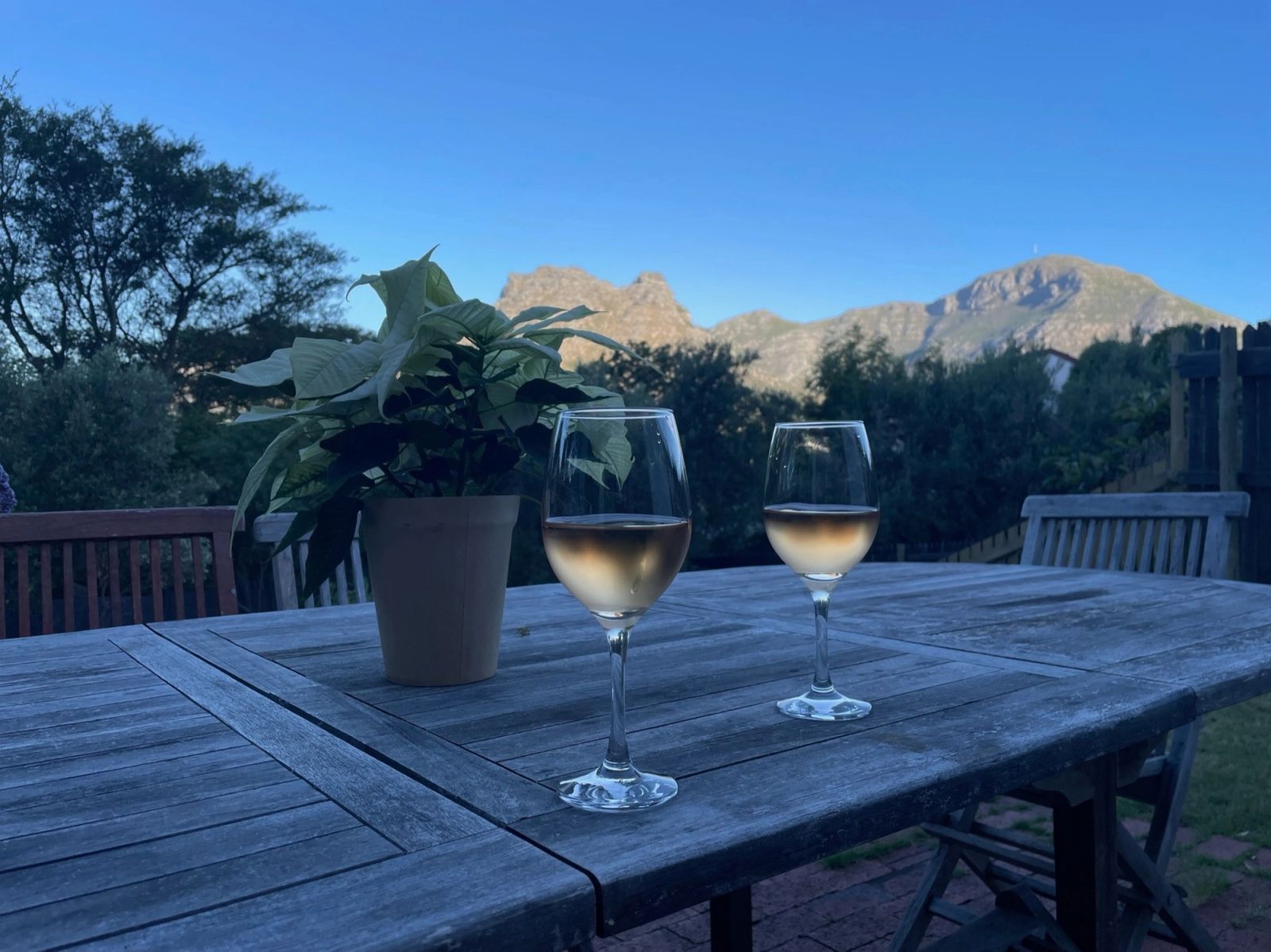 Port Nature Hout Bay Deluxe Apartments