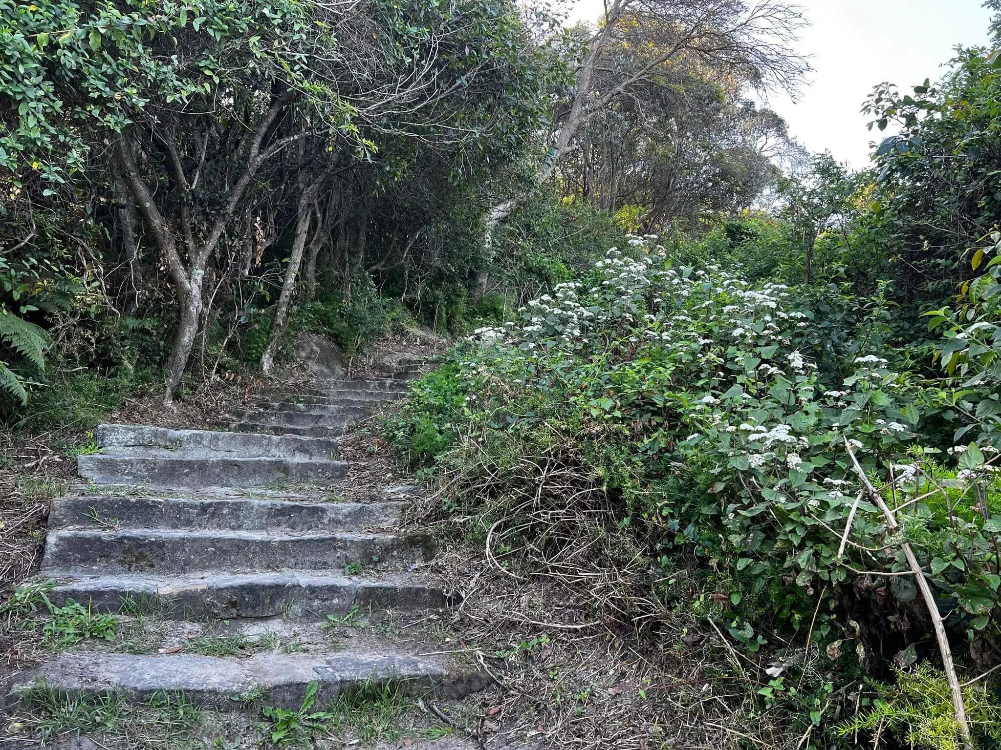 Stairs back up to the car park