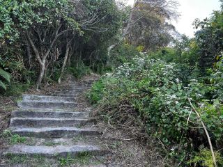 Stairs back up to the car park