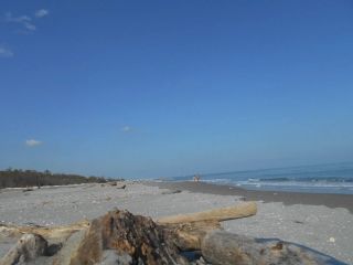 Weekdays are much quieter at Lido di Dante