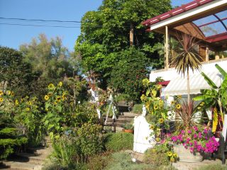 Garden Entry to Coady's Cabana