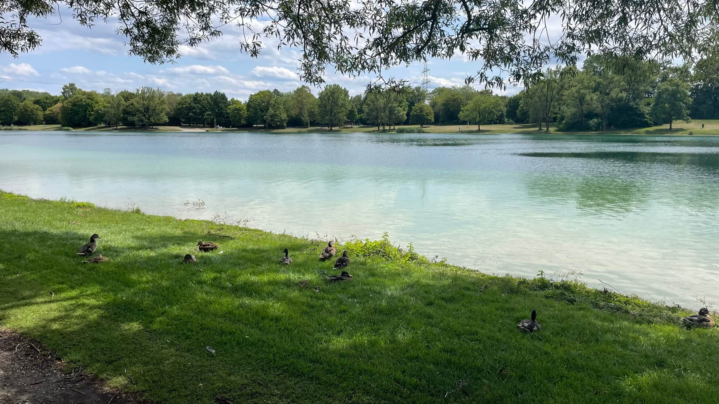 Easy to see why it's our favourite nude place in Munich. Feringasee is great!