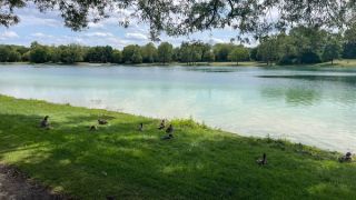 Easy to see why it's our favourite nude place in Munich. Feringasee is great!