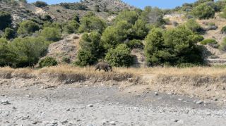 View quiet even on weekends at Playa de las Alberquillas