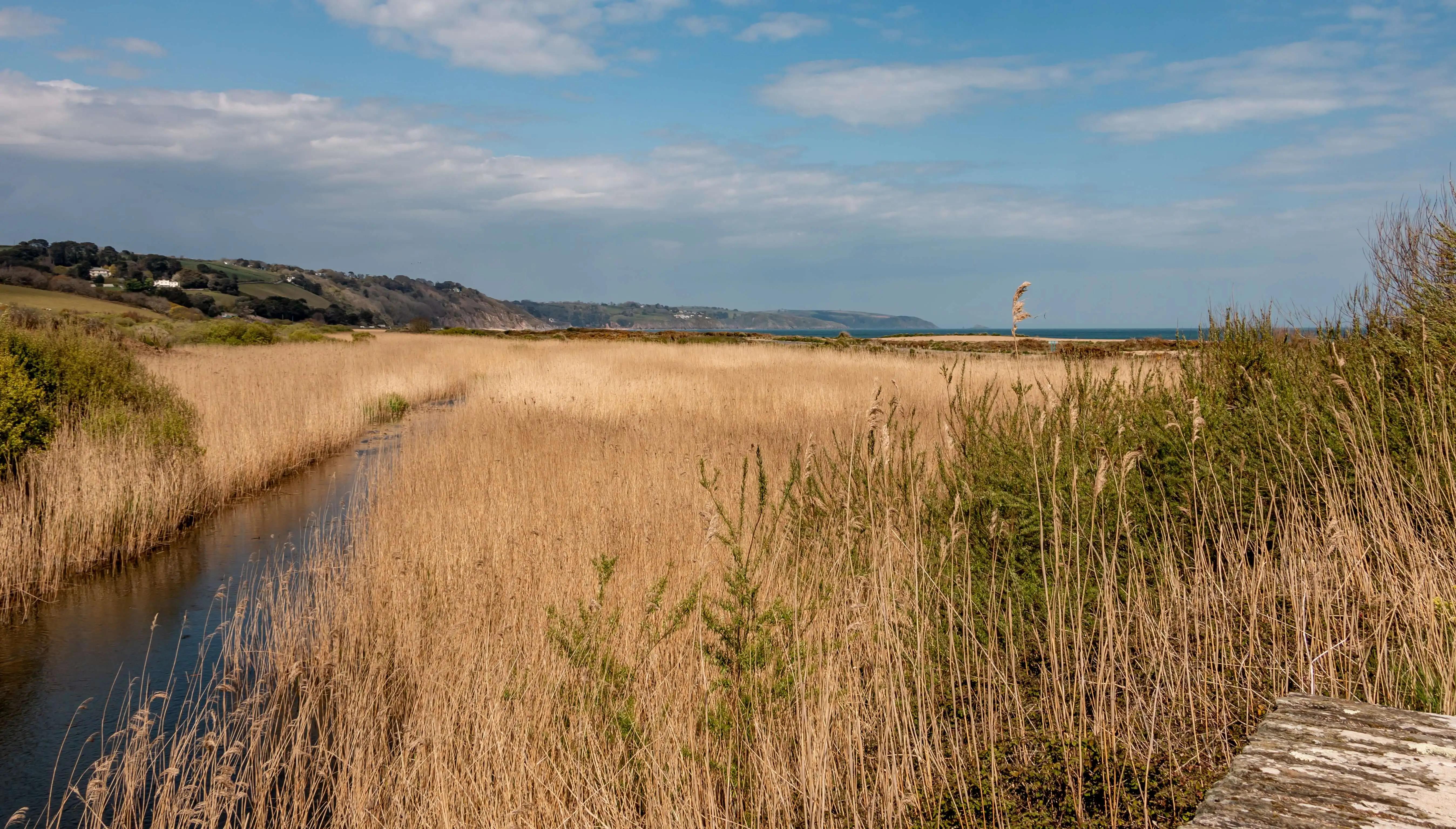 Waterways and vegetation surrounding Slapton Sands