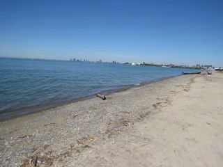 Empty beach views, a rarity here at Hanlan's Point