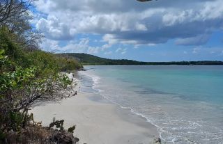 Petite Anse des Salines - Naturist beach in Martinique