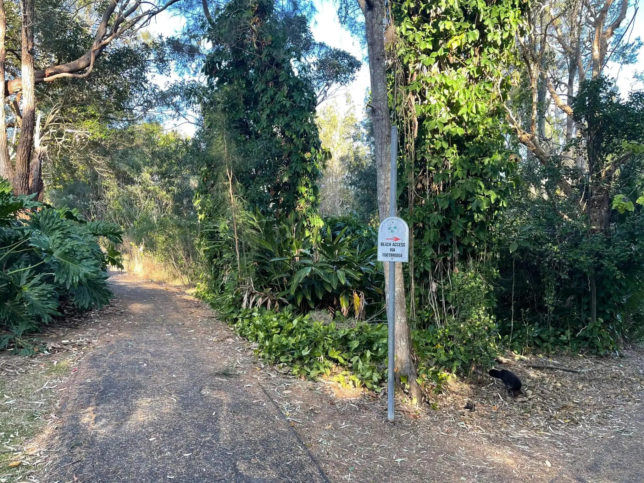Stay to the left to access the beach from the 'secret trail'