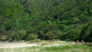 Grass area to suntan at Kings Beach near Byron Bay NSW