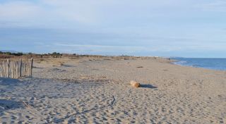 The wild feeling of Plage Naturiste de Torreilles can't be beat!