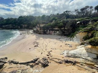 Isolated but not too tricky to reach - Little Jibbon Nude Beach in Bundeena