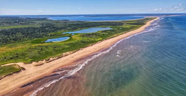 Blooming Point Beach
