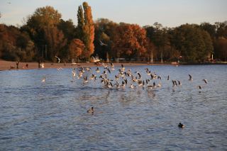 FKK Strandbad Müggelsee - nudist beach in Germany