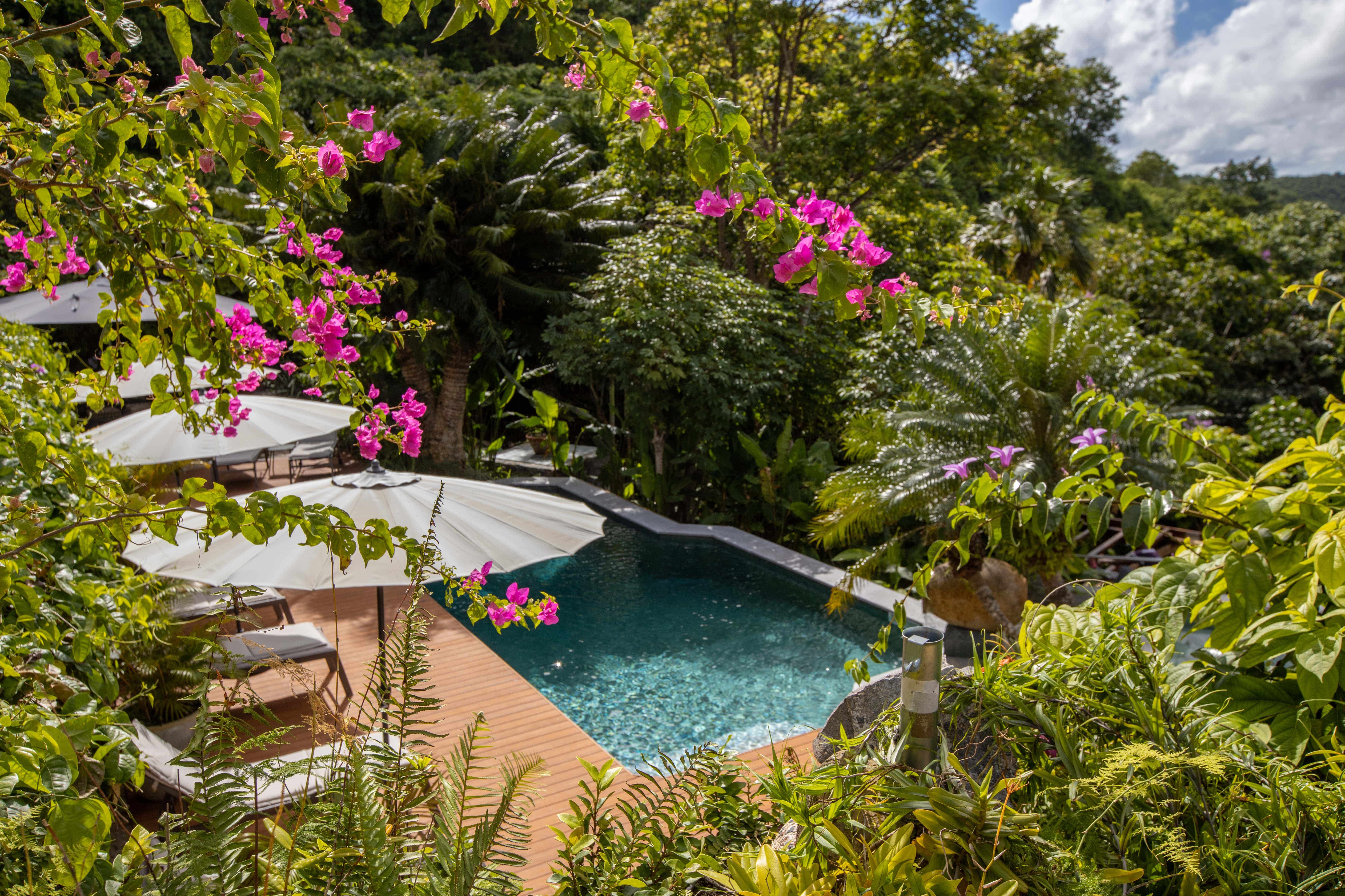 Nature isn't far away at The Paradise Peak