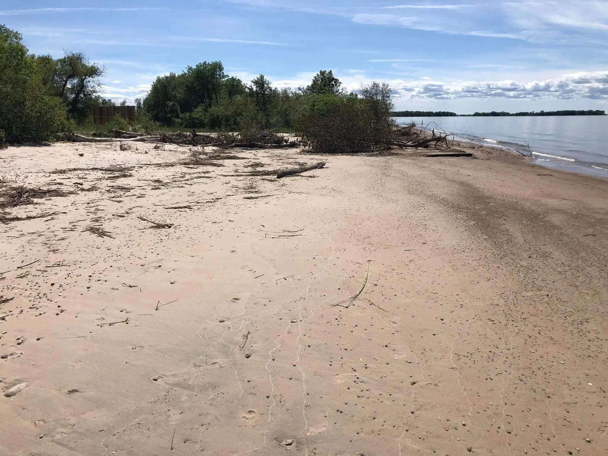 There is a welcoming community at Patricia Nude Beach