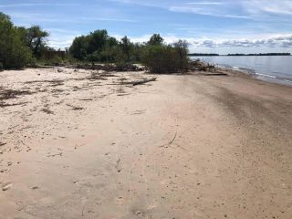 There is a welcoming community at Patricia Nude Beach