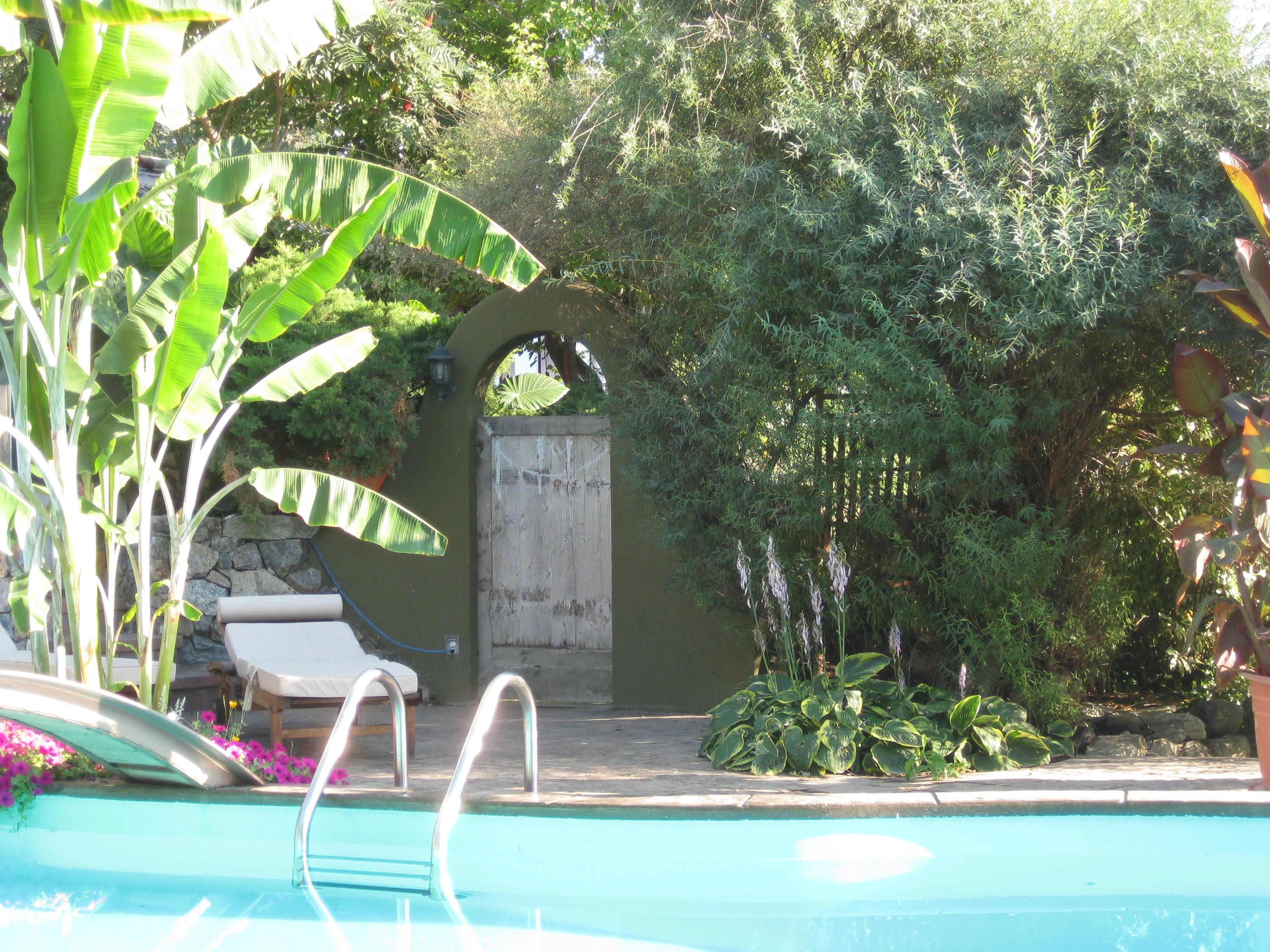Relaxation Under the Palms