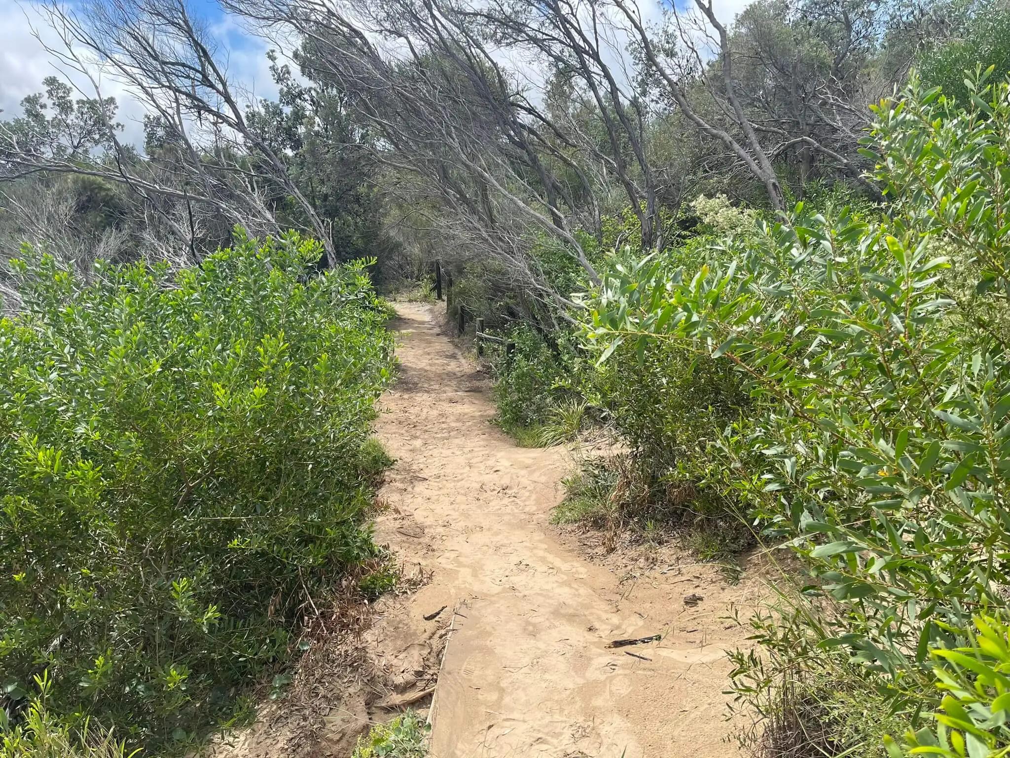 The well marked walking trail between Congwong and Little Congwong Beach