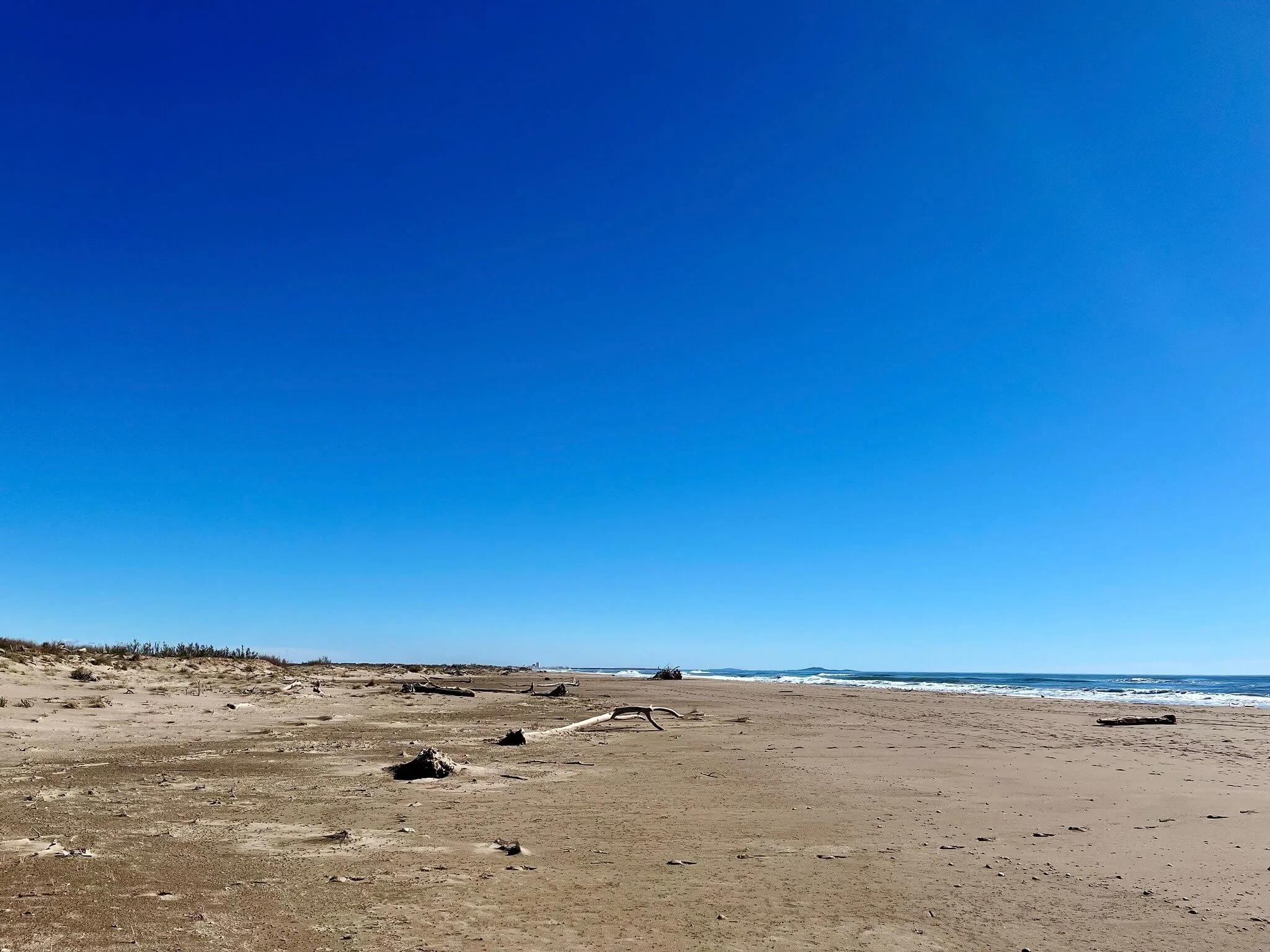 Plenty of room for naturists here