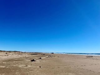 Plenty of room for naturists here