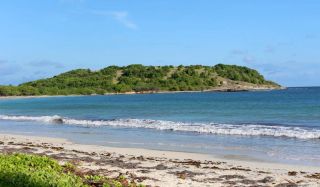 Anse Traubaud - Naturist beach in Martinique