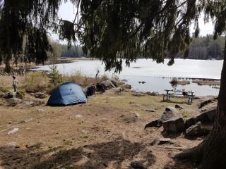Svartkulp - Clothing-optional Lake in Oslo, Norway