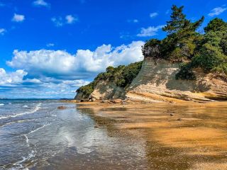 St Leonards Bay - Clothing optional beach in Auckland, New Zealand