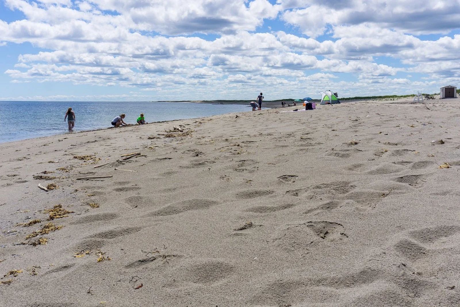 Kellys Nude Beach