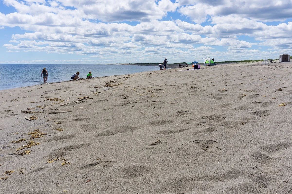 Kellys Nude Beach