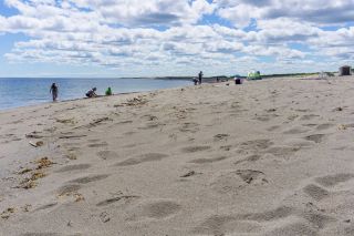 Shoreline at Kellys Nude Beach in New Brunswick, Canada