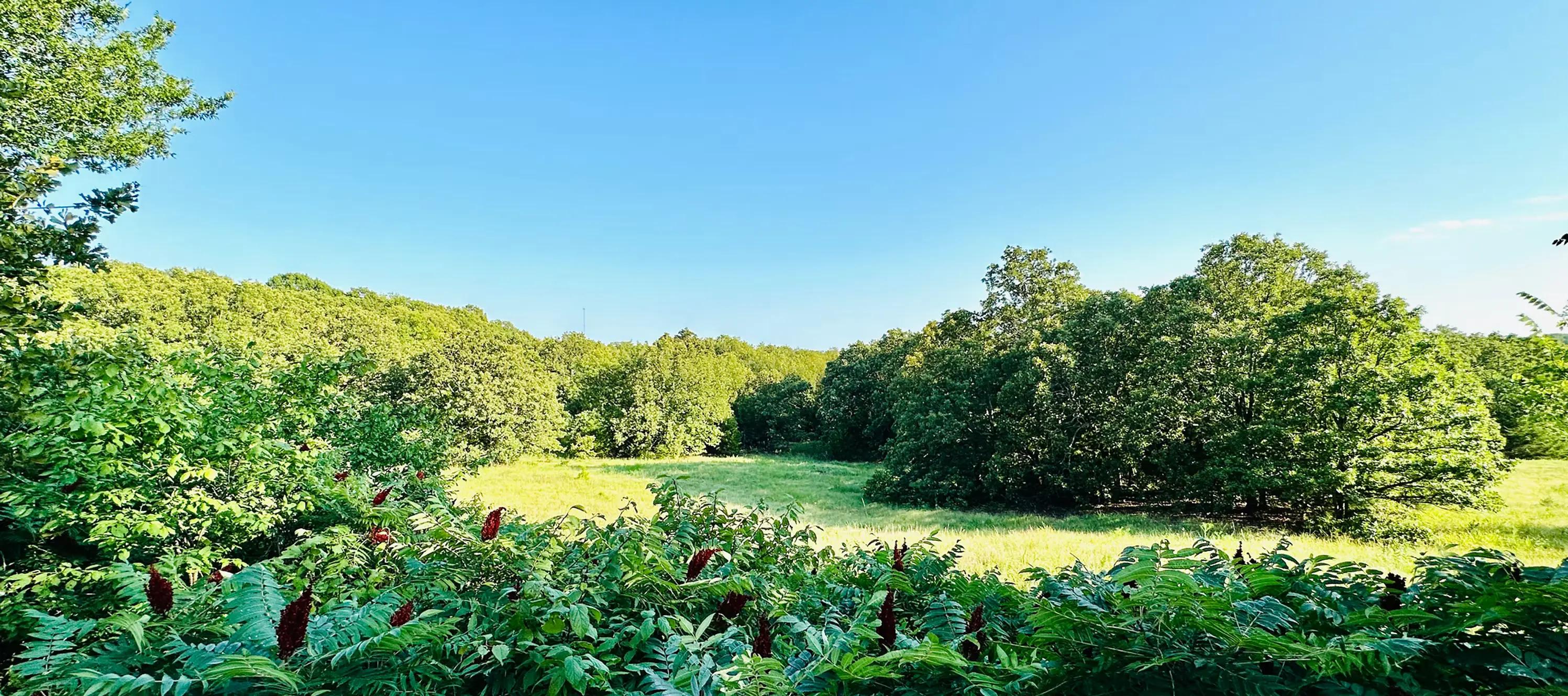 Plenty of walking trails and surrounded by nature.. Oaklake Trails lives up to it's name!