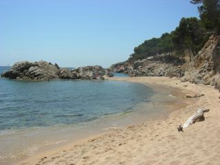 Soft sand and crystal clear water at Cala Estreta nude beach