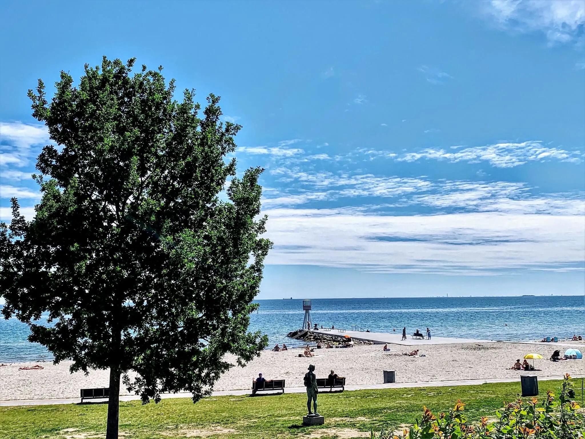 Plenty of grass to sit on at Bellevue Beach (but unfortunately not in the nude section)