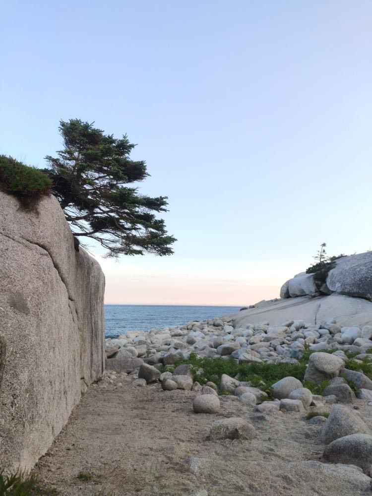 Plenty to explore at Crystal Crescent Naturist Beach