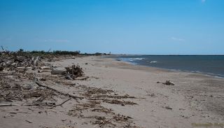 The long shoreline of Plage des Cabanes de Fleury