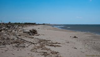 The long shoreline of Plage des Cabanes de Fleury
