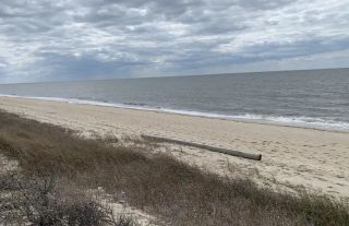 Higbee Beach - Naturist beach in NJ, USA