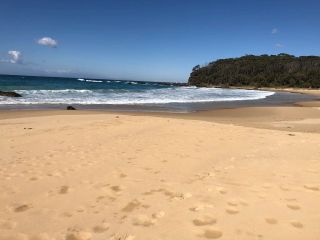 Perfect surf and soft sand at Armands Beach in NSW
