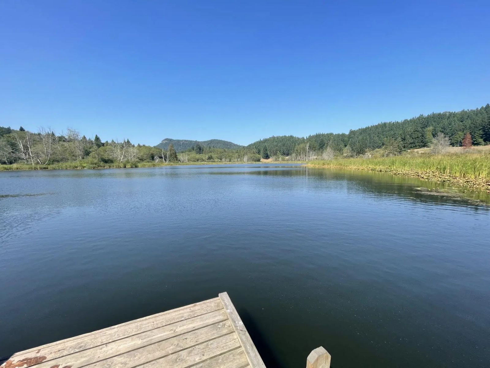 Blackburn Lake