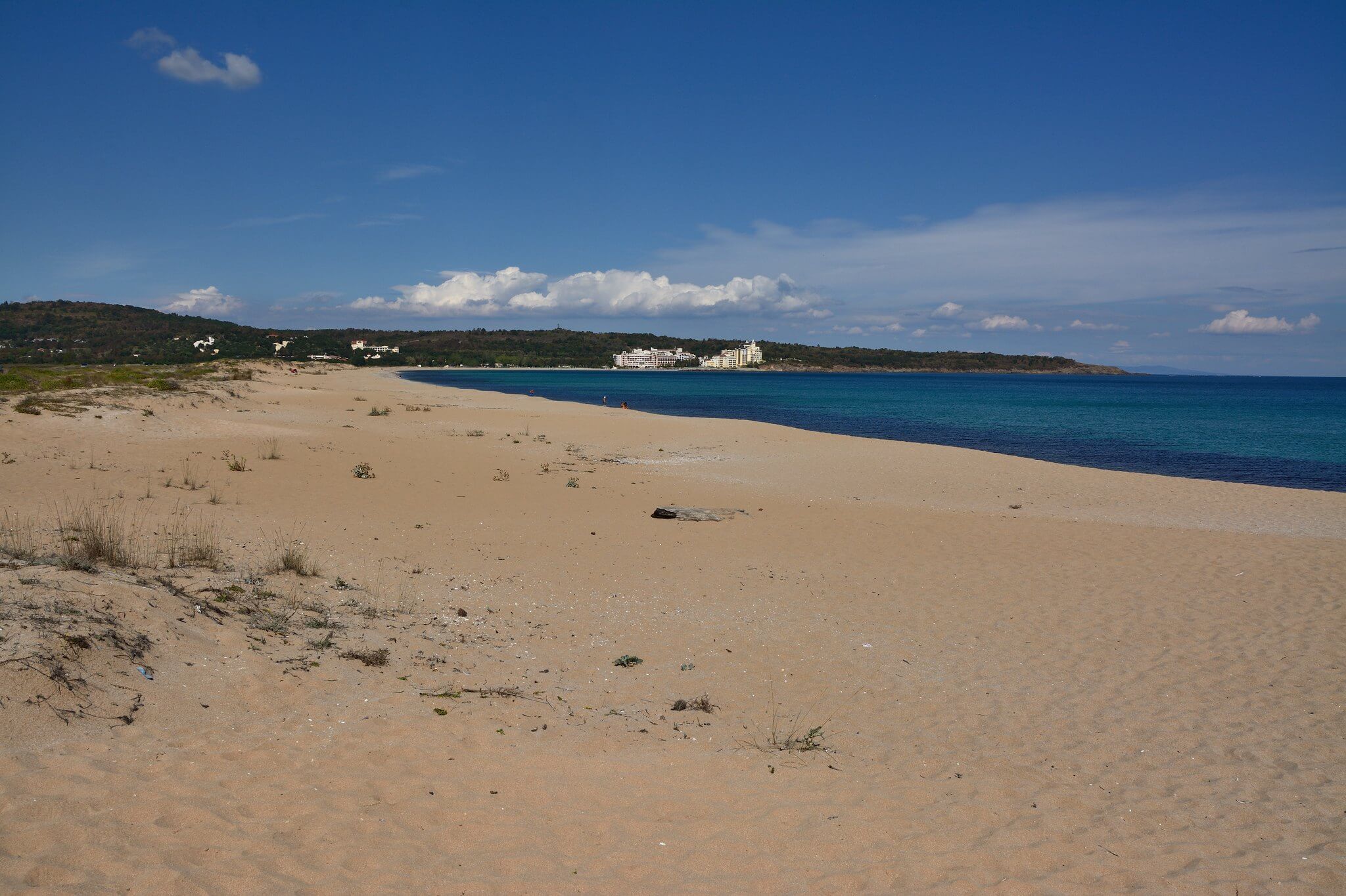 Alepu Beach (Drivers' Beach)