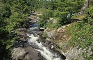 McCrae Lake - Nude lake in Ontario