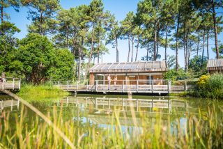 Forest relaxation at Arnaoutchot naturist campsite