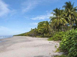 Suecas Beach - Naturist beach in Panama