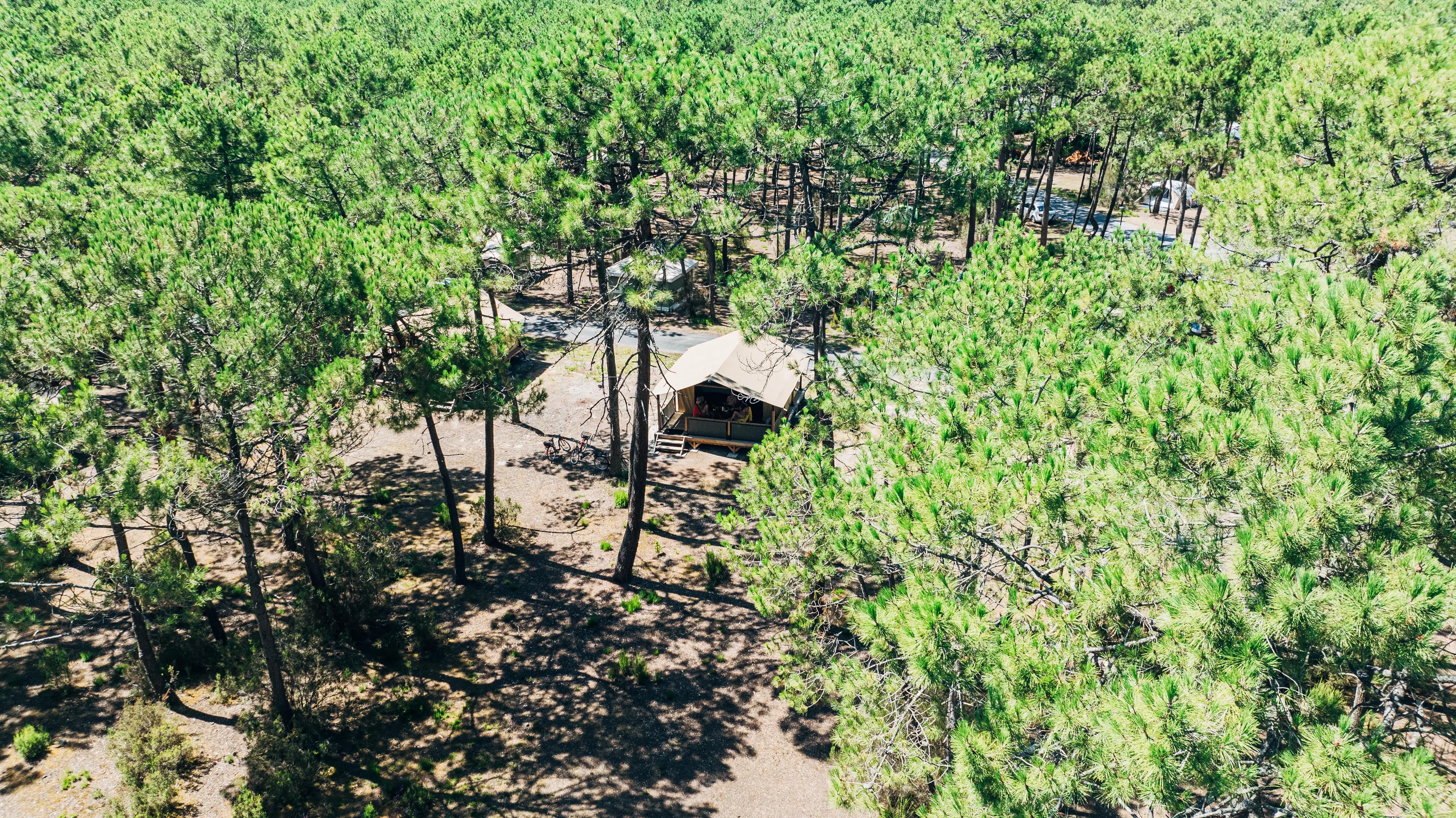 Forest accommodations at Euronat