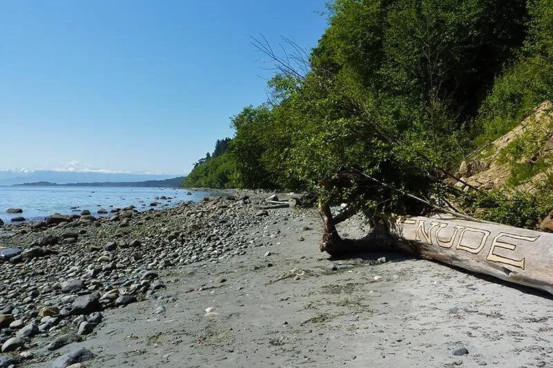Sand, rocks and logs.. a bit of everything at this beach!