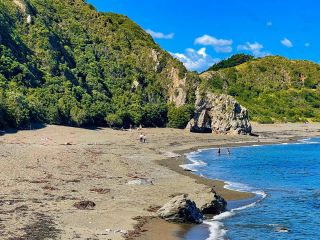 Breaker Bay - Clothing Optional in Wellington, New Zealand