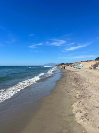Soft sand and gentle waves. This is Playa de Artola - Cabopino